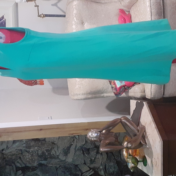 Vintsge A line Shift Dress - Picture 4 of 9